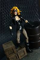 Black Canary (DC Superheroes) Custom Action Figure