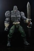 Ni Nja Scroll 8 Devils of Kimon Tessai Custom Figure (Ninja Scroll) Custom Action Figure