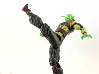 Neo Namekian (S.H. Figuarts) (Dragonball Z) Custom Action Figure