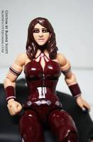 Catherine: the Kind-Spirited Wrestling Superstar (Wrestling) Custom Action Figure