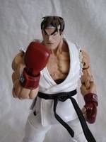 Street Fighter Ryu (Street Fighter) Custom Action Figure