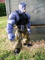 Bebop and Rocksteady (Teenage Mutant Ninja Turtles) Custom Action Figure