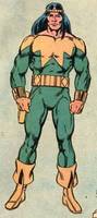 Shaman (Alpha Flight) (Marvel Universe) Custom Action Figure