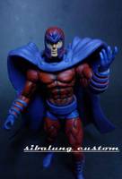Magneto (Marvel Universe) Custom Action Figure