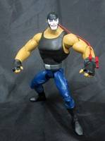 DC Bane Young Justice (DC Universe) Custom Action Figure