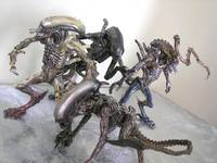 Alien Hybrid: Warriors of Virs (Aliens) Custom Action Figure