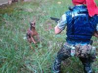 Joseph Frost (S.T.A.R.S. mmember for Resident evil ) (Resident Evil) Custom Action Figure