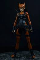 Young Justice Invasion Tigress a.K.a. Artemis (Young Justice) Custom Action Figure