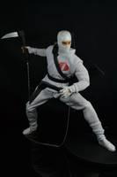 Storm Shadow 1/6 Scale (G.I. Joe) Custom Action Figure