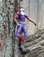Ninjara (Teenage Mutant Ninja Turtles) Custom Action Figure