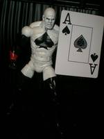 Royal Flush Gang: Ace (DC Universe) Custom Action Figure