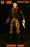 General Hawk (G.I. Joe) Custom Action Figure