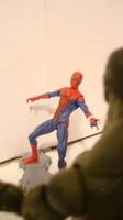 The Amazing Spider-Man Movie Accurate Re-Paint (Spider-Man) Custom Action Figure