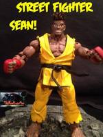 Street Fighter Sean (Street Fighter) Custom Action Figure
