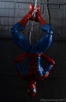 Marvel Select Spider-Man (Marvel Select) Custom Action Figure