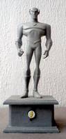 Flash Memorial (Batman Animated) Custom Action Figure