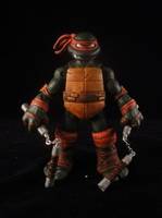 Teenage Mutant Ninja Turtles (Teenage Mutant Ninja Turtles) Custom Action Figure