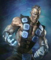 Mortal Kombat Sub Zero ( ICE ) (Mortal Kombat) Custom Action Figure