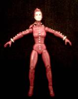 Phoenix Rachel Summers (Marvel Universe) Custom Action Figure
