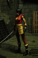 Katana (DC Universe) Custom Action Figure