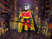 Tim Drake Robin (Mego) Custom Action Figure