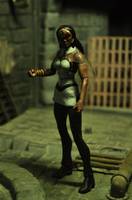 Yj Queen Bee (DC Universe) Custom Action Figure
