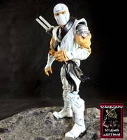 Storm Shadow (G.I. Joe) Custom Action Figure