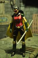 Earth 2 Robin(Helena Wayne) (DC Universe) Custom Action Figure