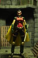 Earth 2 Robin(Helena Wayne) (DC Universe) Custom Action Figure