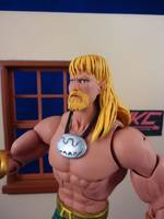 Aquaman (Classics in Jlu Style) (DC Universe) Custom Action Figure