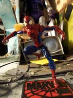 Spider-Man (Marvel Universe) Custom Action Figure