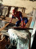 Spider-Man (Marvel Universe) Custom Action Figure