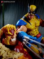 Tiger Stripe Wolverine (Marvel Legends) Custom Action Figure