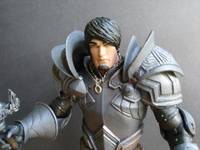 The Grey Warden (Dragon Age) Custom Action Figure