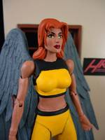 Hawkgirl (Shayera Hol Yellow Track Suit) (DC Universe) Custom Action Figure