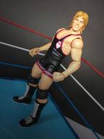 Owen Hart (Wrestling) Custom Action Figure