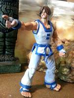 Kim Kaphwan (Fatal Fury) Custom Action Figure