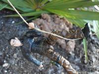Bear Grylls - Man Vs. Wild (G.I. Joe 25th Anniversary) Custom Action Figure