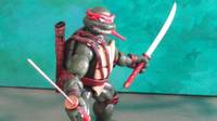 Kevin Eastman Leonardo (Teenage Mutant Ninja Turtles) Custom Action Figure