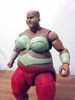 Wonder Woman (DC Universe) Custom Action Figure