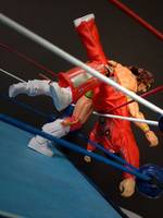 Ultimate Warrior (Wrestling) Custom Action Figure