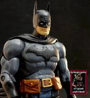 Batman (DC Universe) Custom Action Figure