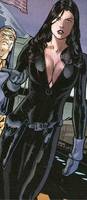 Talia Al Ghul (DC Infinite Heroes) Custom Action Figure