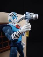 Bengali (Thundercats Classics from Bandai) (Thundercats) Custom Action Figure