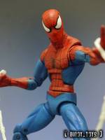 Spider-Man ( Roml ) with Peter Parker Head (Marvel Legends) Custom Action Figure