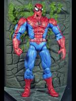 Spiderman Hulk out Heroes (Marvel Legends) Custom Action Figure