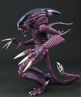 Razor Claw Alien (Alien vs Predator) Custom Action Figure