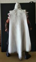Aquilus Assassins Creed (Assassin's Creed) Custom Action Figure