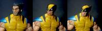 Wolverine (Marvel Legends) Custom Action Figure