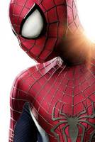 Amazing Spider-Man 2 2014 Movie (Marvel Legends) Custom Action Figure